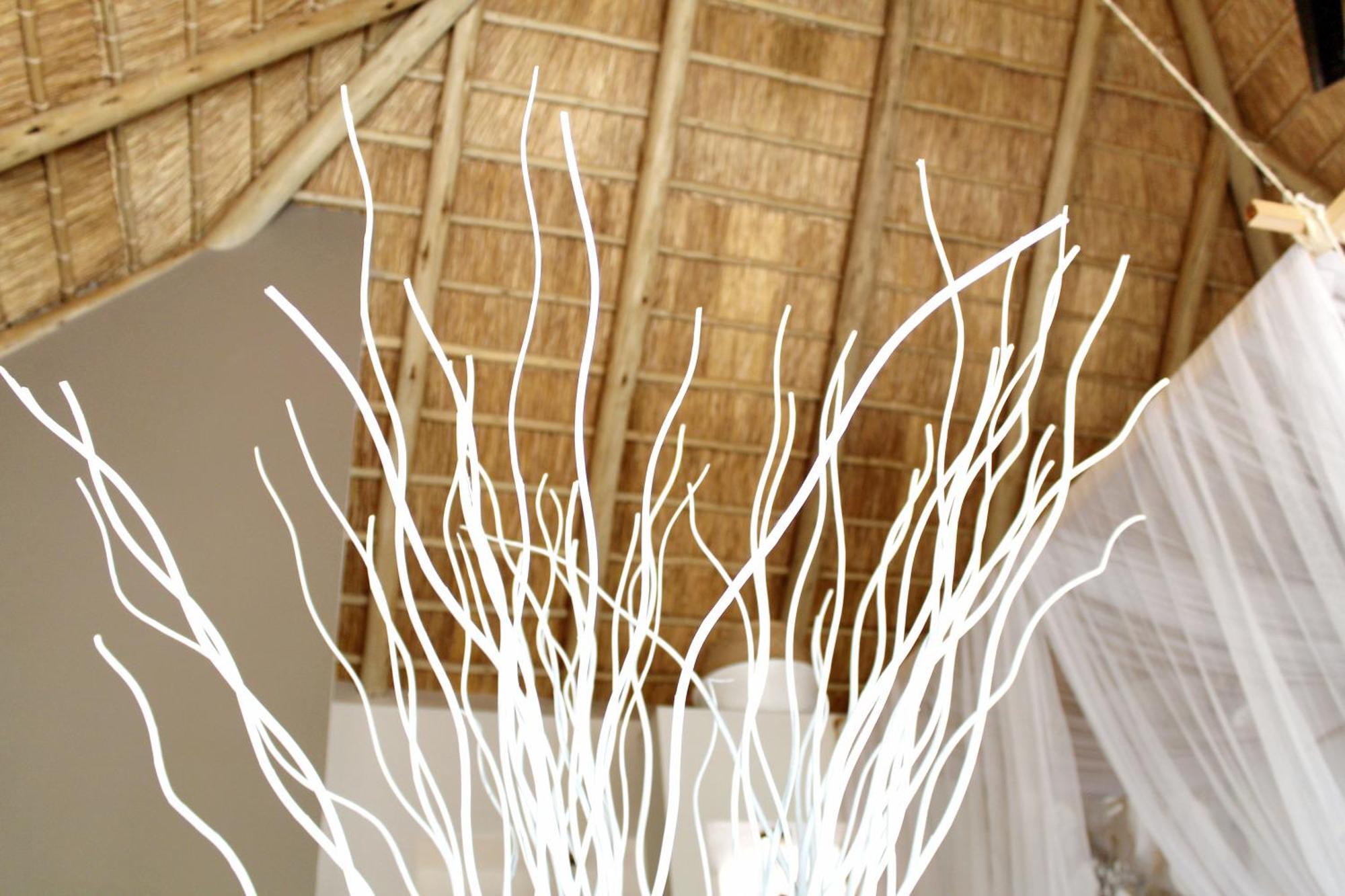 African Flair Boutique Safari Lodge هويدزبروت المظهر الخارجي الصورة